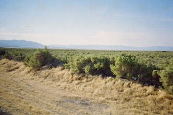 green but arid, Utah plain with mountains in the distance